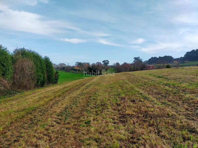 Foto f9b505aa-cb48-4b82-84de-50eb7d8832cf. Terreny residencial a Cudillero