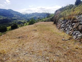 Terreny residencial a Candamo. Parcela en fenolleda, candamo, asturias.