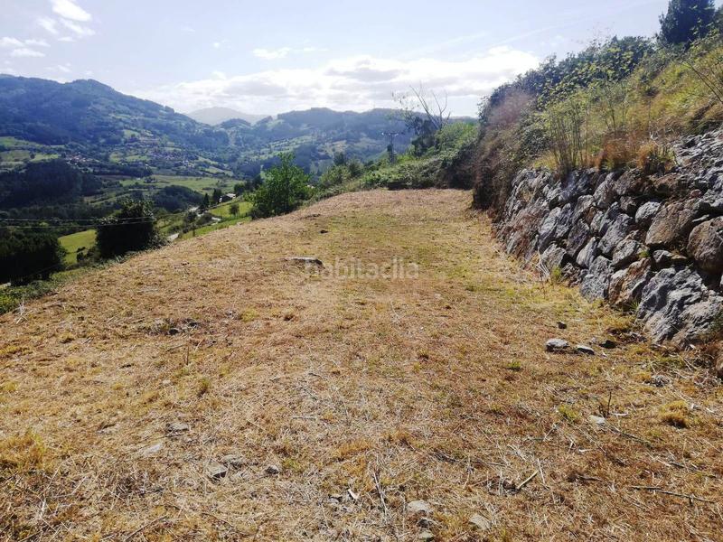 Foto 6f7238b7-5cda-4fbe-ba5d-8f1e98255a6a. Wohngrundstück in Candamo