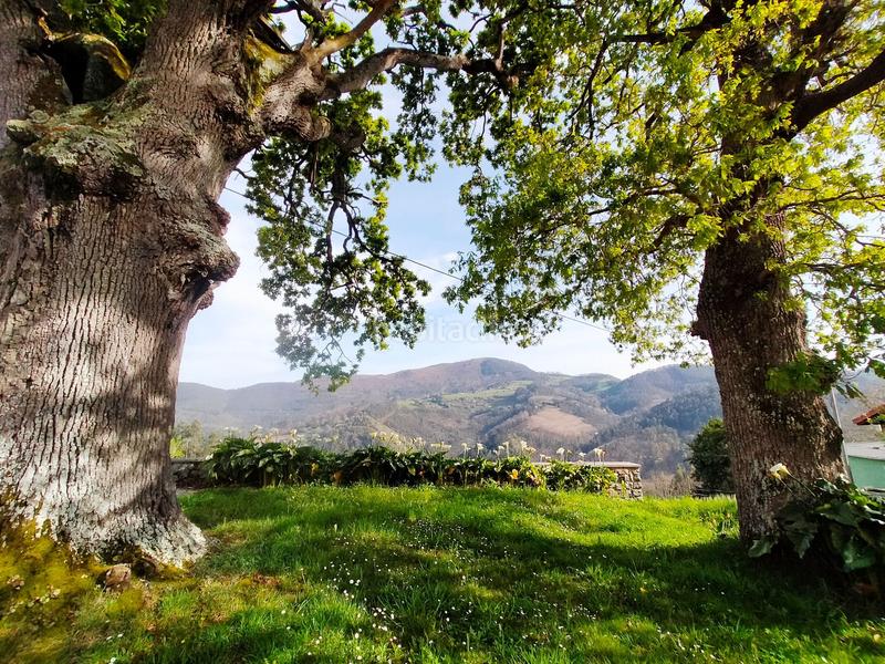 Foto 38cfd6b0-72cf-43d5-b510-46a303bed666. Casa adossada a Pravia