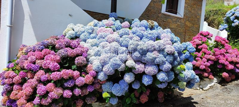 Foto 546a47d5-7405-4a53-b28a-eaeaa226a5b8. Masia a Pravia