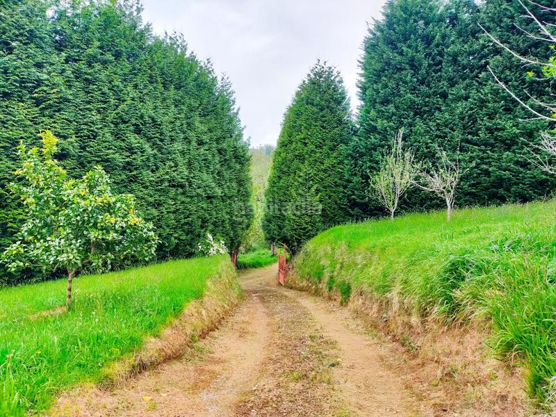 Foto 8a82365b-c22e-4d12-b00d-bddf5199604a. Masia a Pravia