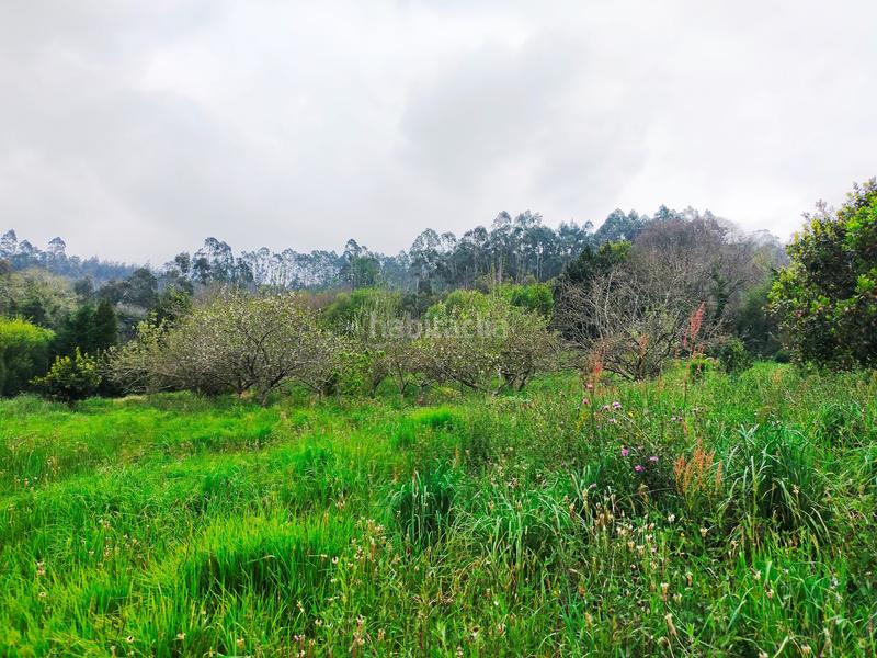 Foto a28d1b0c-eb5b-49b6-875d-e5debbed6796. Masia a Pravia