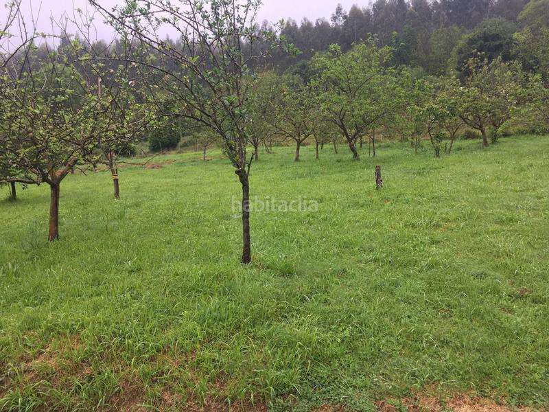 Foto e51c7442-8271-49ac-96d1-66dae41d45a8. Masia a Pravia