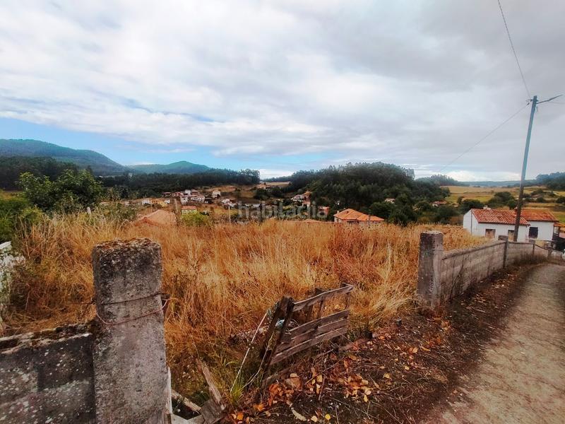 Foto 084dc73b-9bf5-4837-a3da-133c6ab79128. Mas dans Pravia