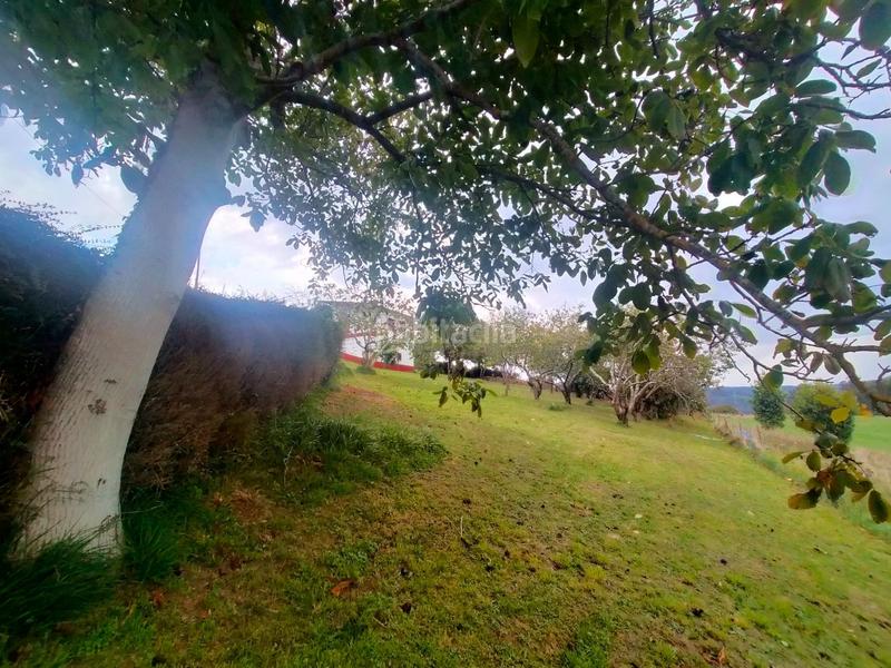 Foto 02f0fa56-fc2e-4039-9fc2-e79dc6d3fc8a. Casale in Pravia