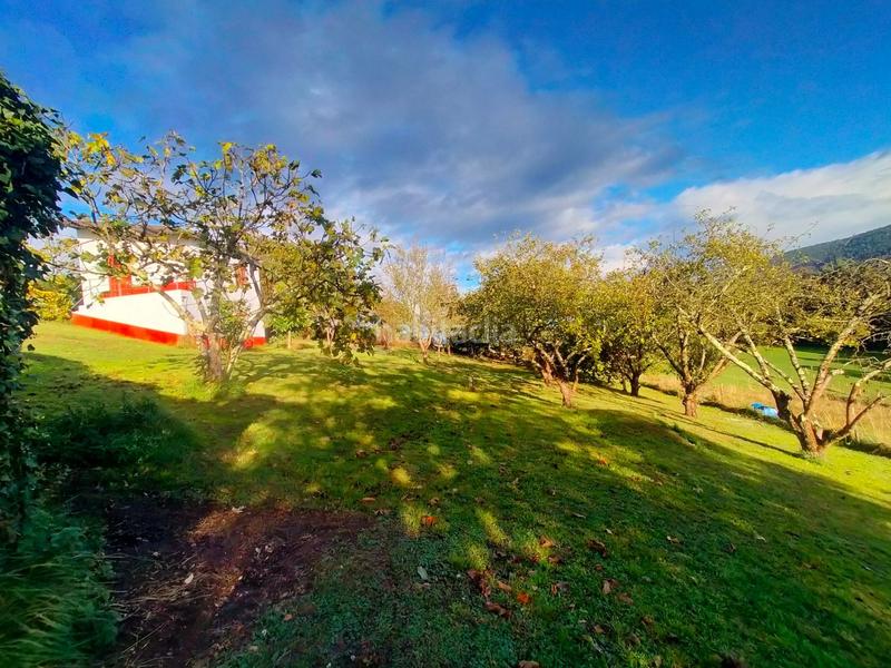 Foto 52add555-fed7-4ab2-96ec-af59c68e64bf. Casale in Pravia