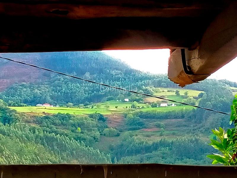 Foto 68a7cd42-f34b-46ba-b838-972b68300118. Casale in Pravia