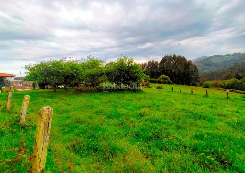Foto 1b35af46-f6d4-4777-a57e-992608045f6c. Terreny residencial a Pravia