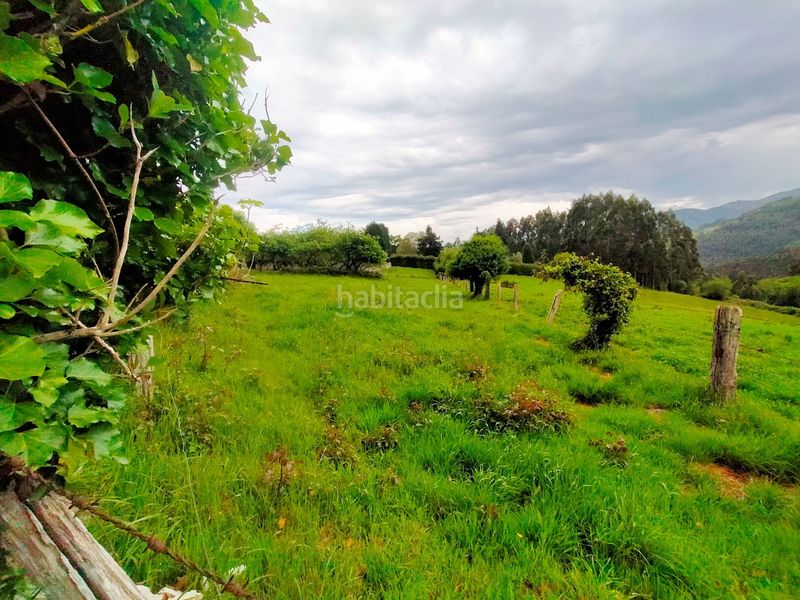 Foto 4ee00b39-2b08-4b8a-8686-5b12a79fde71. Terreny residencial a Pravia