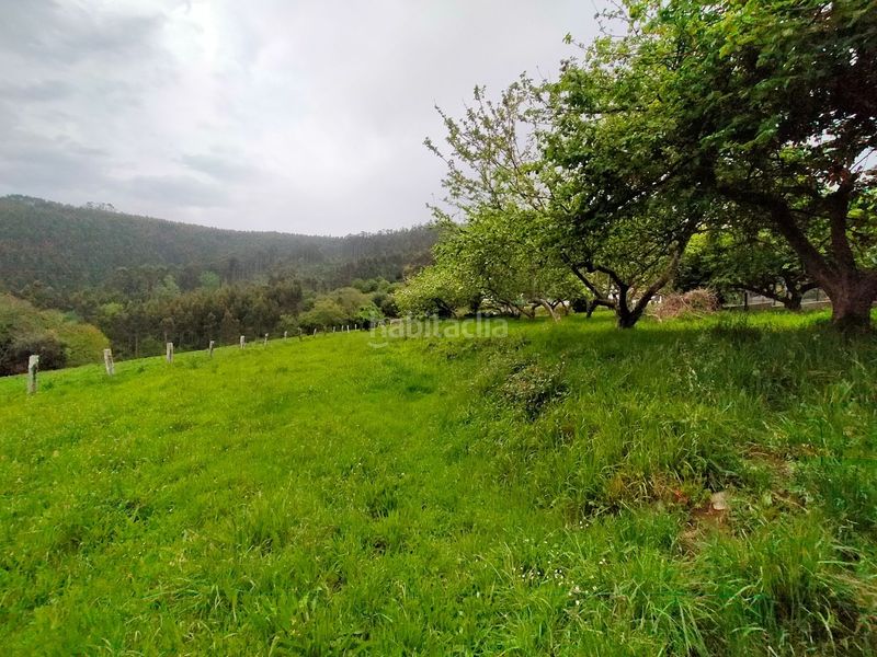Foto 62b6e0a6-20d4-42df-a0da-93f51050afe5. Terreny residencial a Pravia