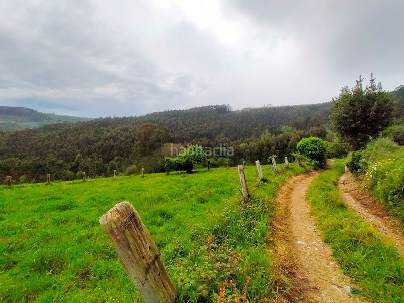 Foto 6b9009da-7dc7-4579-9d2c-5c9fbb9eb149. Terreny residencial a Pravia