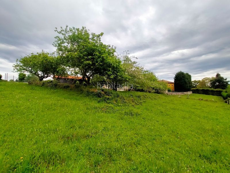 Foto cfc4b351-23ef-4832-bf1f-776e5d3d206d. Terreny residencial a Pravia