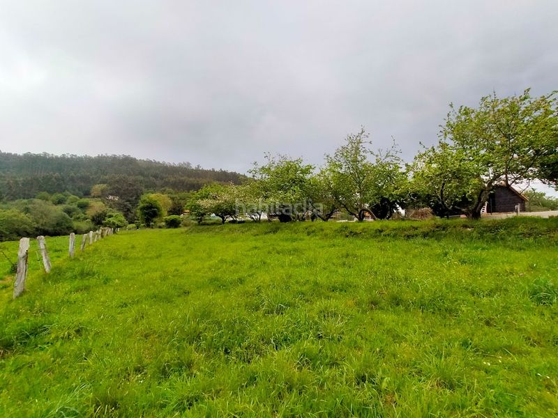Foto e6e965d9-7add-4892-853d-8e89663f989f. Terreny residencial a Pravia