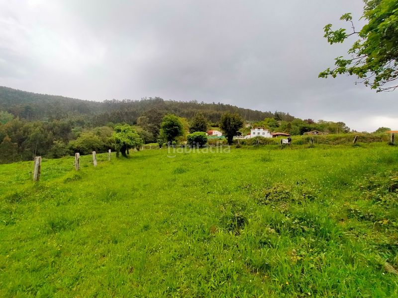 Foto e9ec9473-2ac0-4b4d-a131-0fe2c3ca7c01. Terreny residencial a Pravia