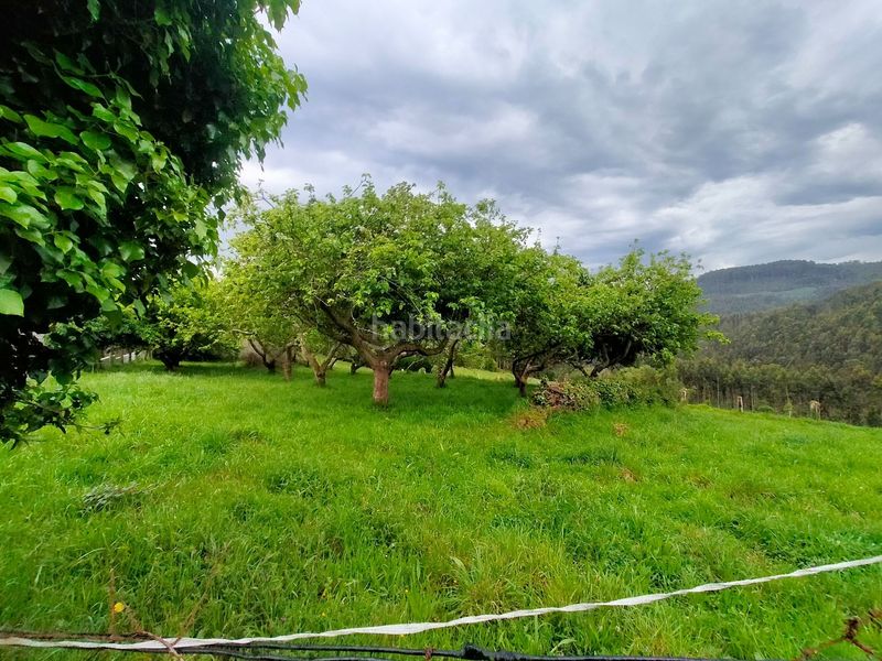 Foto ef5a00a1-c3ca-434e-92ed-c833c5efff46. Terreny residencial a Pravia
