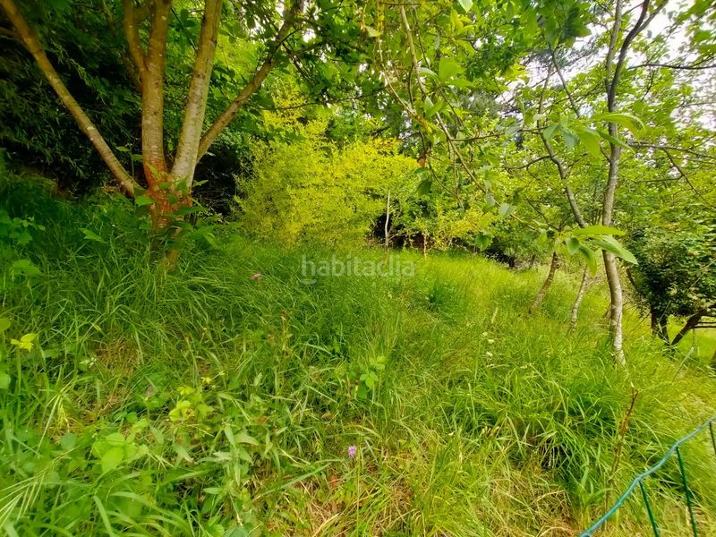 Foto 25ec1626-45fa-40f2-a01f-eeb852644736. Masia a Pravia