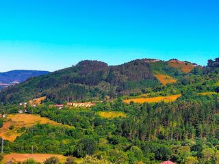 Residential Plot in Candamo. Parcela de 12582 m2 , con una buena parte de 8000m2 para poder e