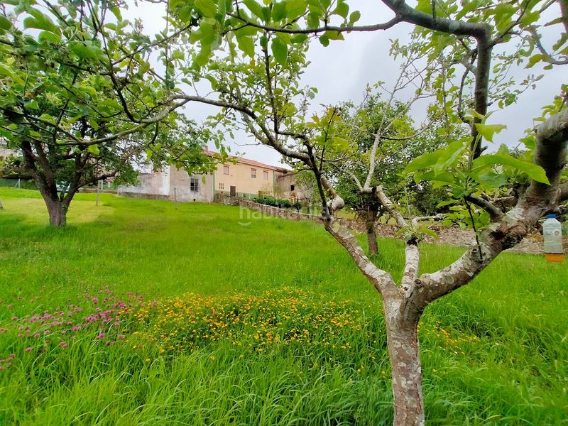 Foto ca6d8474-a2a3-4612-a6aa-5dcd476da4ce. Casa a Pravia