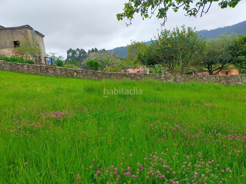 Foto e6ce3f5a-a83a-4669-8ca5-2e08138fd3d9. Casa a Pravia