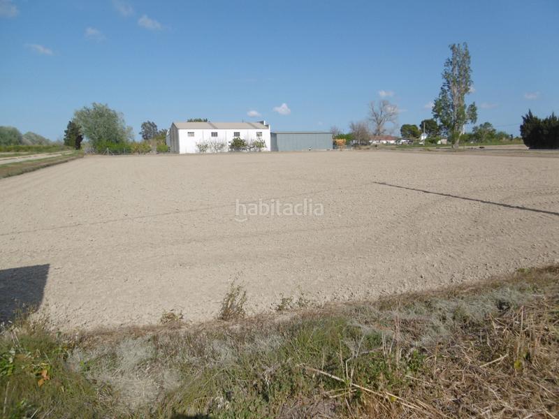 Foto 3cbfc863-8757-47c6-b386-dff17b8df7d5. Fondo rustico in Eucaliptus - Poble Nou del Delta Amposta