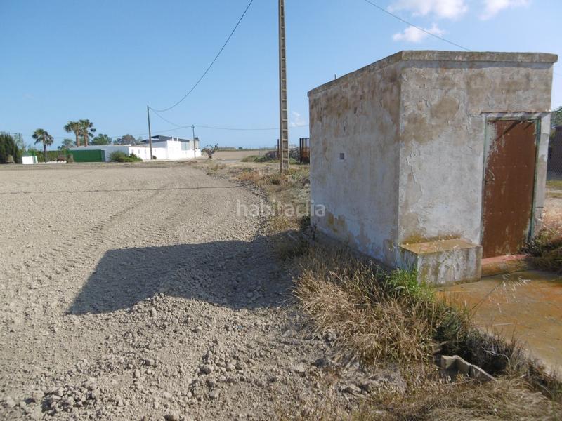 Foto 3f738c85-94bb-4c0c-9219-5c5888ea9544. Fondo rustico in Eucaliptus - Poble Nou del Delta Amposta