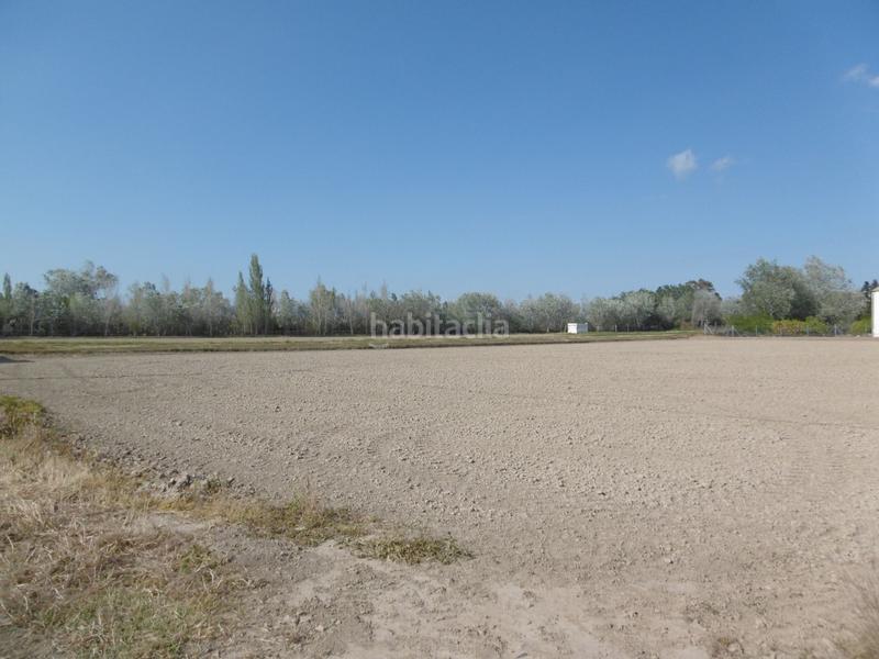 Foto b8cf9a3d-548e-485a-b5c6-b90a04cf1c18. Fondo rustico in Eucaliptus - Poble Nou del Delta Amposta