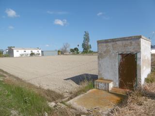 Finca rústica  Partida esquerra. Finca de cultivo en amposta. terres del ebre
