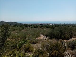 Fondo rustico  Vial camino