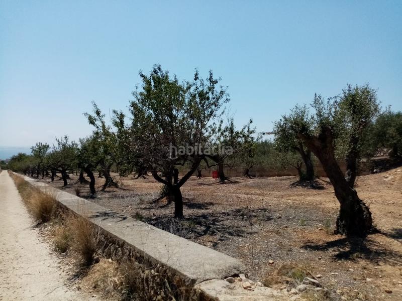 Foto 9fdca9b2-9c52-419b-8844-b3c73bba9ea6. Landgut in Avinguda Catalunya Sant Carles de la Ràpita