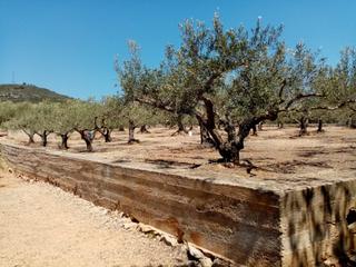 Landgut  Vial camino
