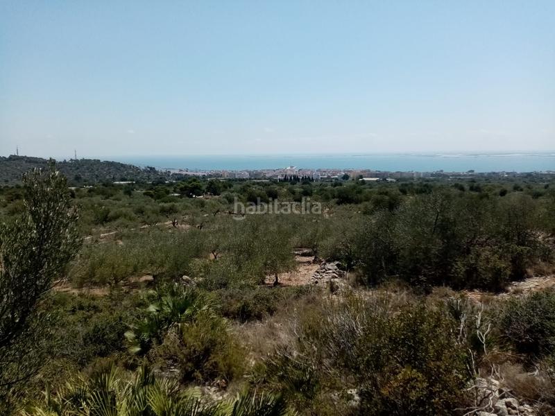 Foto 13298ead-92b1-4711-b7d5-10ae2159f454. Propriété dans Avinguda Catalunya Sant Carles de la Ràpita