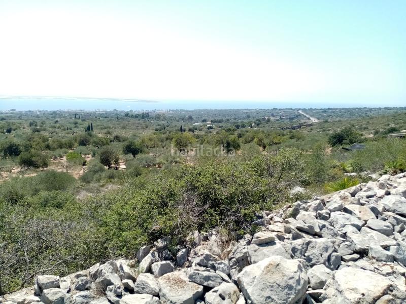 Foto ef3e2cea-d45a-417d-b842-603e737de5c7. Rural plot in Avinguda Catalunya Sant Carles de la Ràpita