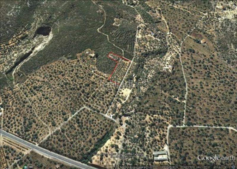 Foto 59cffe1e-1c75-4e13-a411-6b0aa8d40f7c. Finca rústica a Avinguda Catalunya La Ràpita