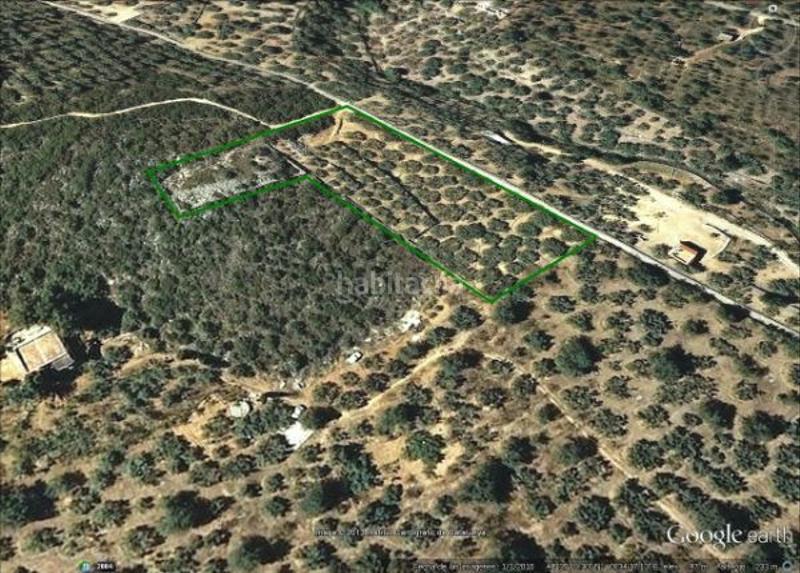 Foto 04f03957-7581-4a34-8fcf-8cc0e279b17b. Finca rústica a Avinguda Catalunya Sant Carles de la Ràpita