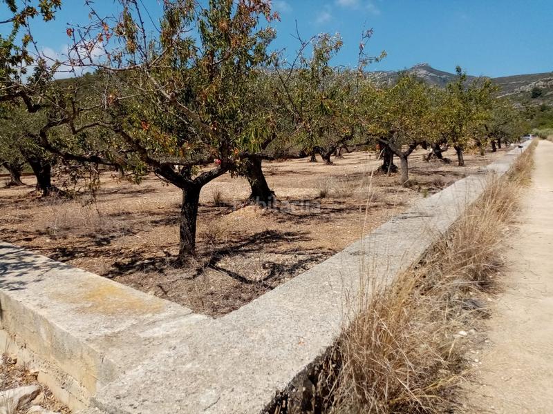 Foto 2967a8b0-06ef-4f20-a11c-58f360e46194. Finca rústica a Avinguda Catalunya Sant Carles de la Ràpita