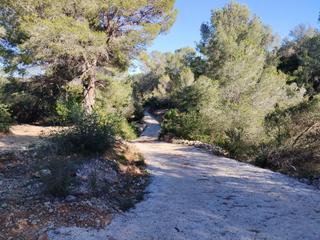 Finca rústica a Carrer camí del llop 46. Finca rústica cerca de la ràpita.