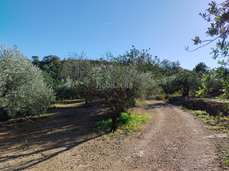 Foto 167762fc-b345-49de-8c34-c2c207512c49. Fondo rustico in carrer camí del llop 46 in Alcanar