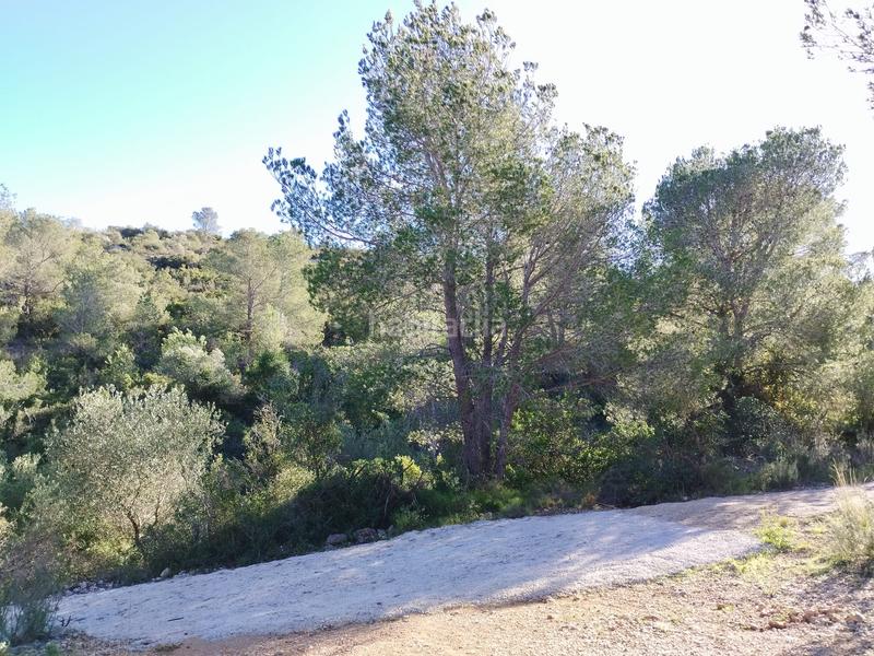 Foto b7b1cae6-cd40-4c5f-8fa3-965a3c26c173. Fondo rustico in carrer camí del llop 46 in Alcanar