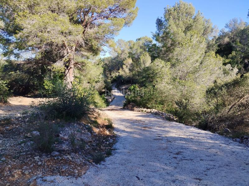 Foto ee29cf74-6e10-4a5b-839d-aeab4fbae12d. Fondo rustico in carrer camí del llop 46 in Alcanar