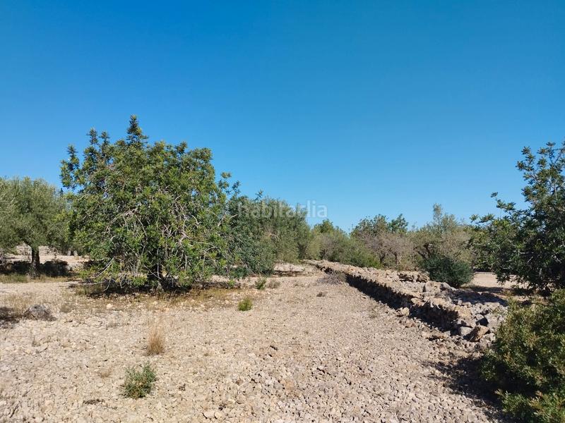 Foto c11a7ddf-7bcf-4c2e-bca7-04c692f30070. Finca rústica a carretera nacional n-340 1067 a Alcanar