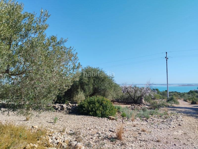 Foto c144b208-2ab9-44d8-b4b7-bec387e0aeac. Finca rústica a carretera nacional n-340 1067 a Alcanar