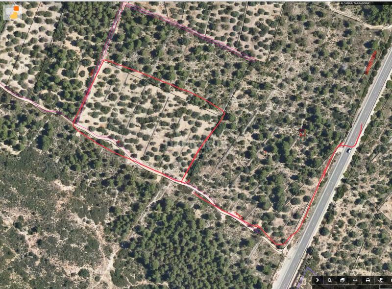 Foto d03c2137-b39e-4427-9624-099432f9f46e. Finca rústica a carretera nacional n-340 1067 a Alcanar