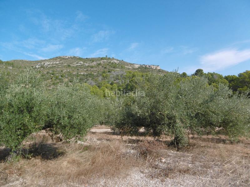 Foto 0ca10a42-051f-44f9-95b6-1fd915a44046. Propriété dans vial camino 315 dans Nord Sant Carles de la Ràpita