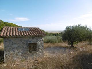 Landgut in Vial camino 315. Finca rústica con caseta.