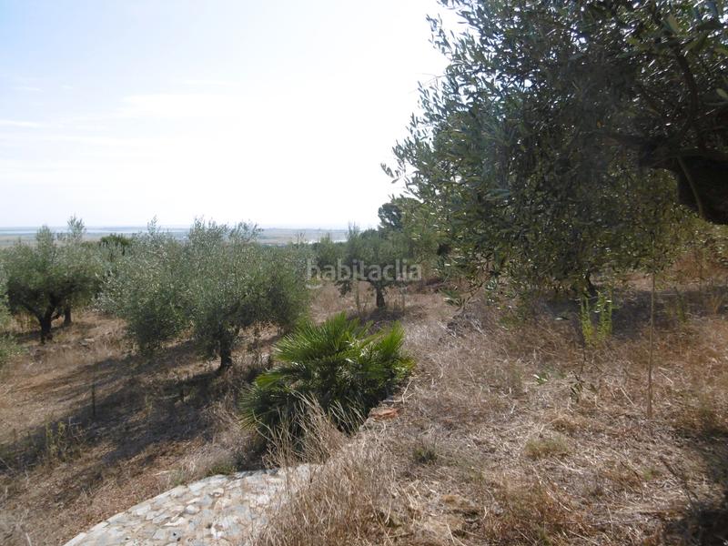 Foto 81a118a4-7cf8-40f7-8426-ce8dd7628146. Propriété dans vial camino 315 dans Nord Sant Carles de la Ràpita