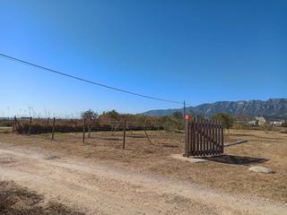 Fondo rustico in Vial camino 9101. Terreno en el delta del ebro, finca rústica.
