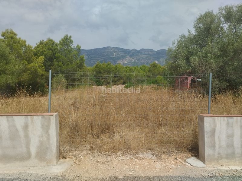 Foto b9fff7e4-471e-48ef-9108-3bf1d5b2e563. Terreny residencial a Alcanar