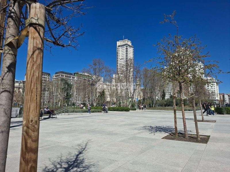 Foto e43930d6-ddc3-4da4-b5ae-36ba6376d2ff. Rent flat in Universidad-Malasaña Madrid