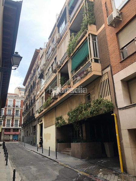 Foto f4dfe78c-e799-406a-a86c-9e28caba6244. Rent flat in Universidad-Malasaña Madrid